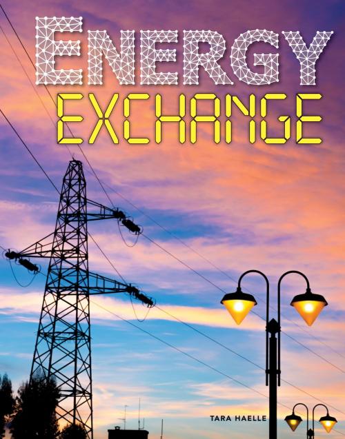 Cover of the book Energy Exchange by Tara Haelle, Rourke Educational Media