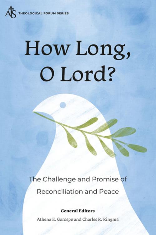 Cover of the book How Long, O Lord? by , Langham Creative Projects