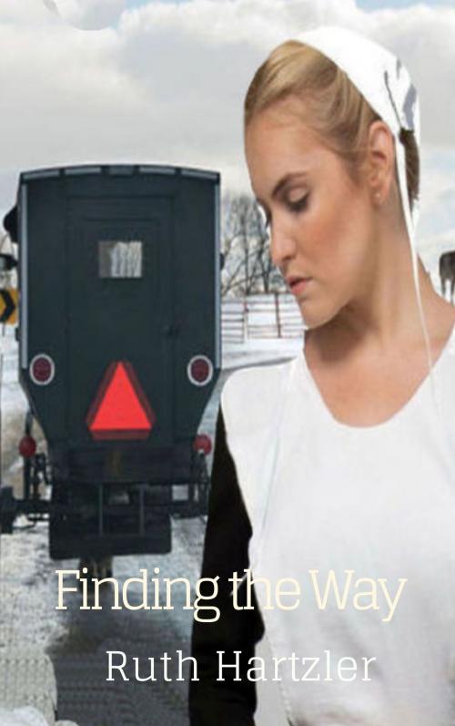 Cover of the book Finding the Way by Ruth Hartzler, Clean Wholesome Books