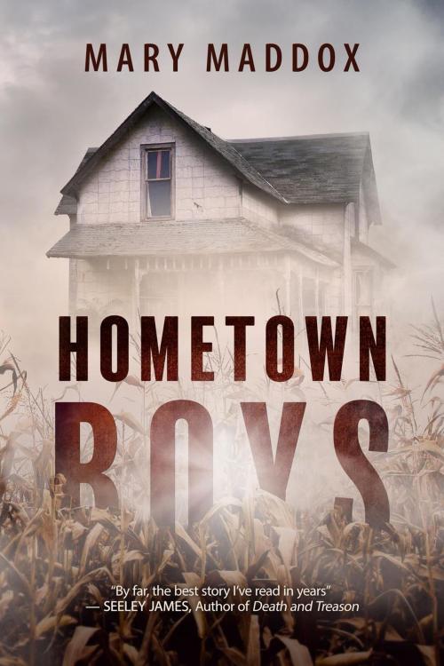 Cover of the book Hometown Boys by Mary Maddox, Cantraip Press