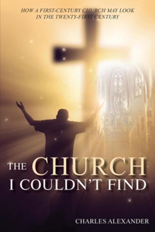 Cover of the book THE CHURCH I COULDN'T FIND by CHARLES ALEXANDER, Toplink Publishing, LLC