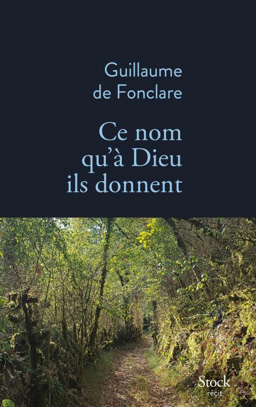 Cover of the book Ce nom qu'à Dieu ils donnent by Guillaume de Fonclare, Stock