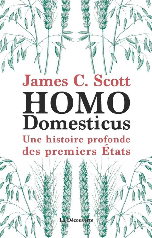 Cover of the book Homo Domesticus by James C. SCOTT, Jean-Paul DEMOULE, La Découverte