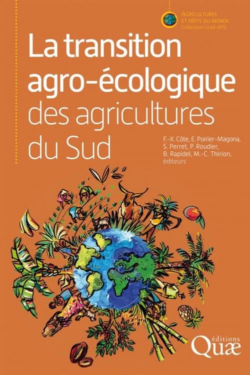 Cover of the book La transition agro-écologique des agricultures du Sud by Marie-Cécile Thirion, Bruno Rapidel, Philippe Roudier, Sylvain Perret, Emmanuelle Poirier-Magona, François-Xavier Côte, Quae