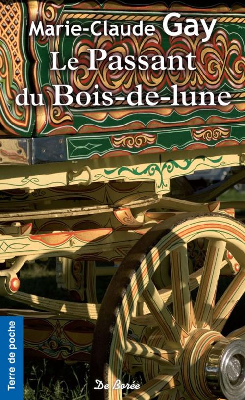 Cover of the book Le Passant du bois-de-lune by Marie-Claude Gay, De Borée