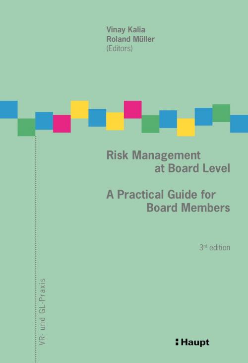 Cover of the book Risk Management at Board Level by , Haupt Verlag