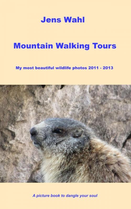 Cover of the book Mountain Walking Tours - My most beautiful wildlife photos 2011 - 2013 by Jens Wahl, BookRix