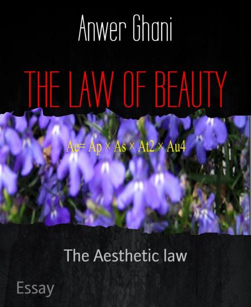 Cover of the book THE LAW OF BEAUTY by Anwer Ghani, BookRix