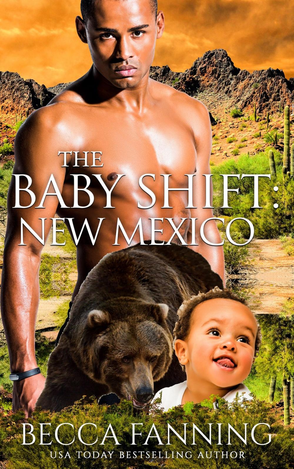 Big bigCover of The Baby Shift: New Mexico