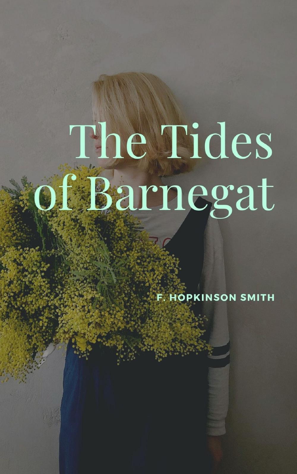 Big bigCover of The Tides of Barnegat