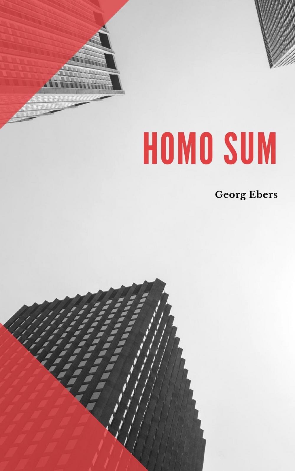 Big bigCover of Homo Sum