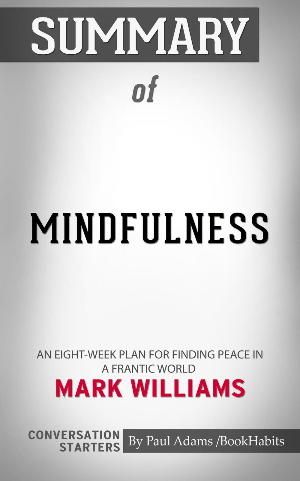 Big bigCover of Summary of Mindfulness