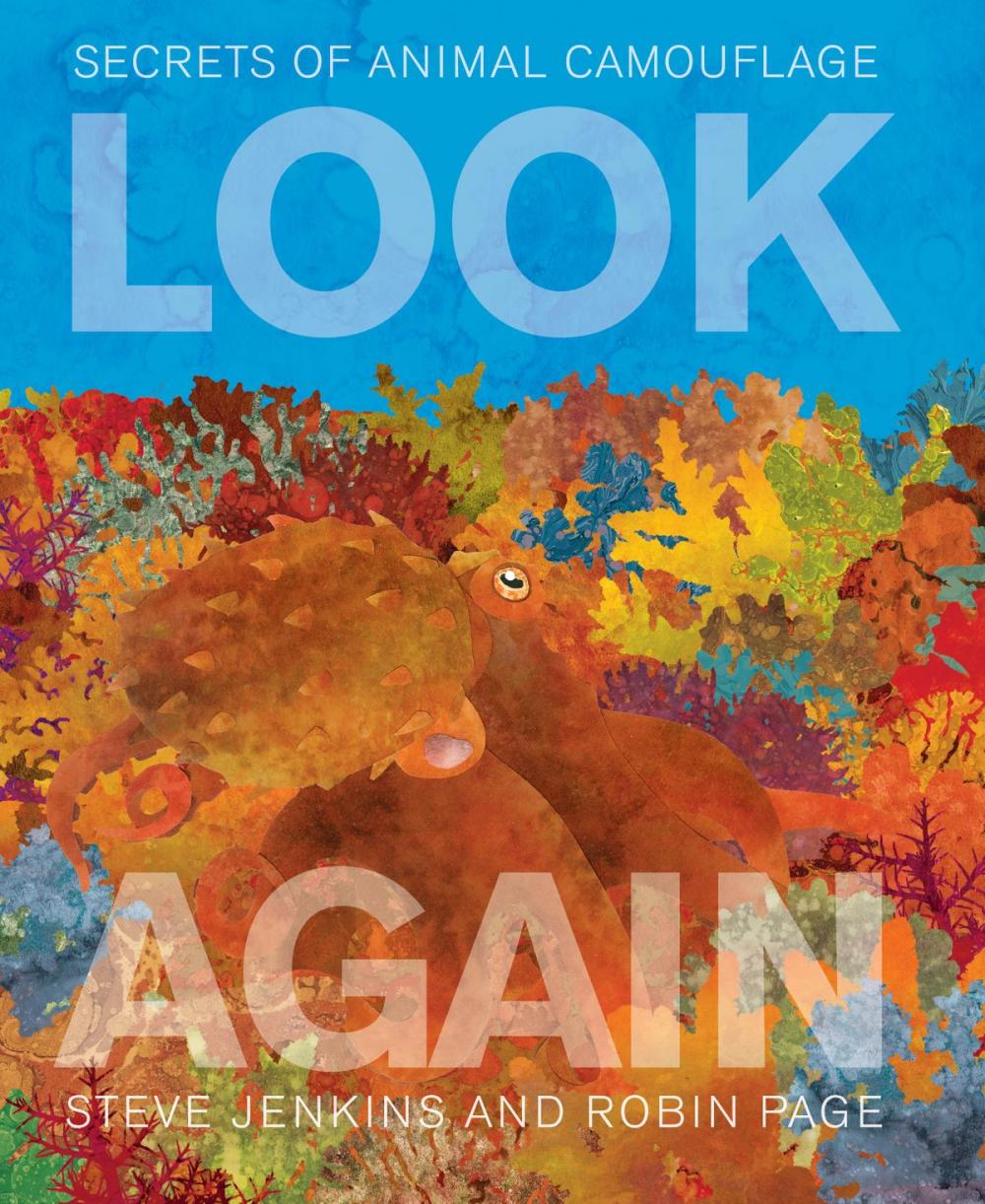 Big bigCover of Look Again