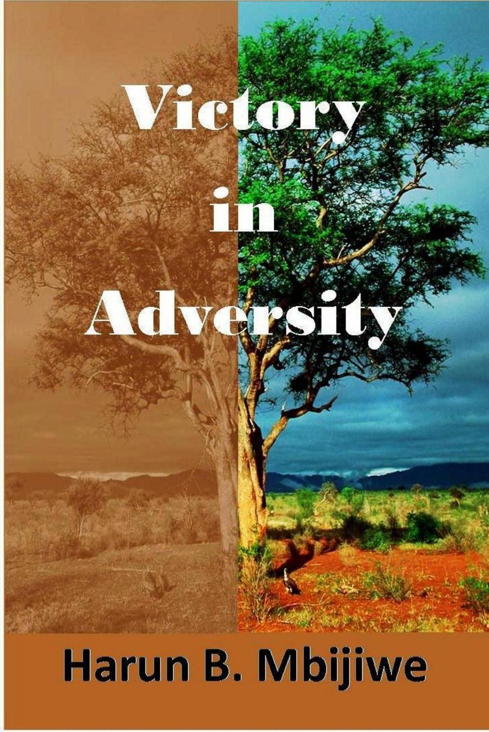 Big bigCover of Victory In Adversity