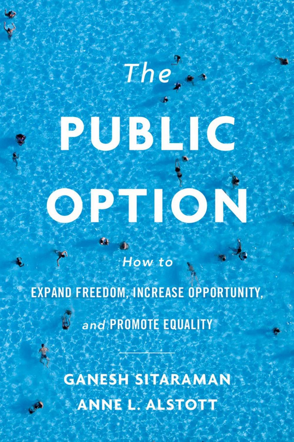 Big bigCover of The Public Option