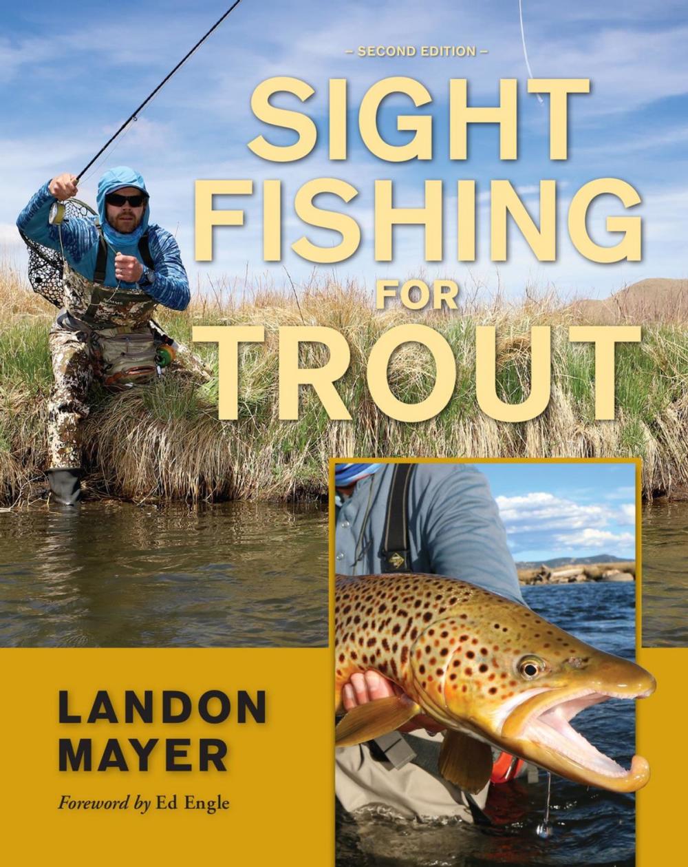 Big bigCover of Sight Fishing for Trout