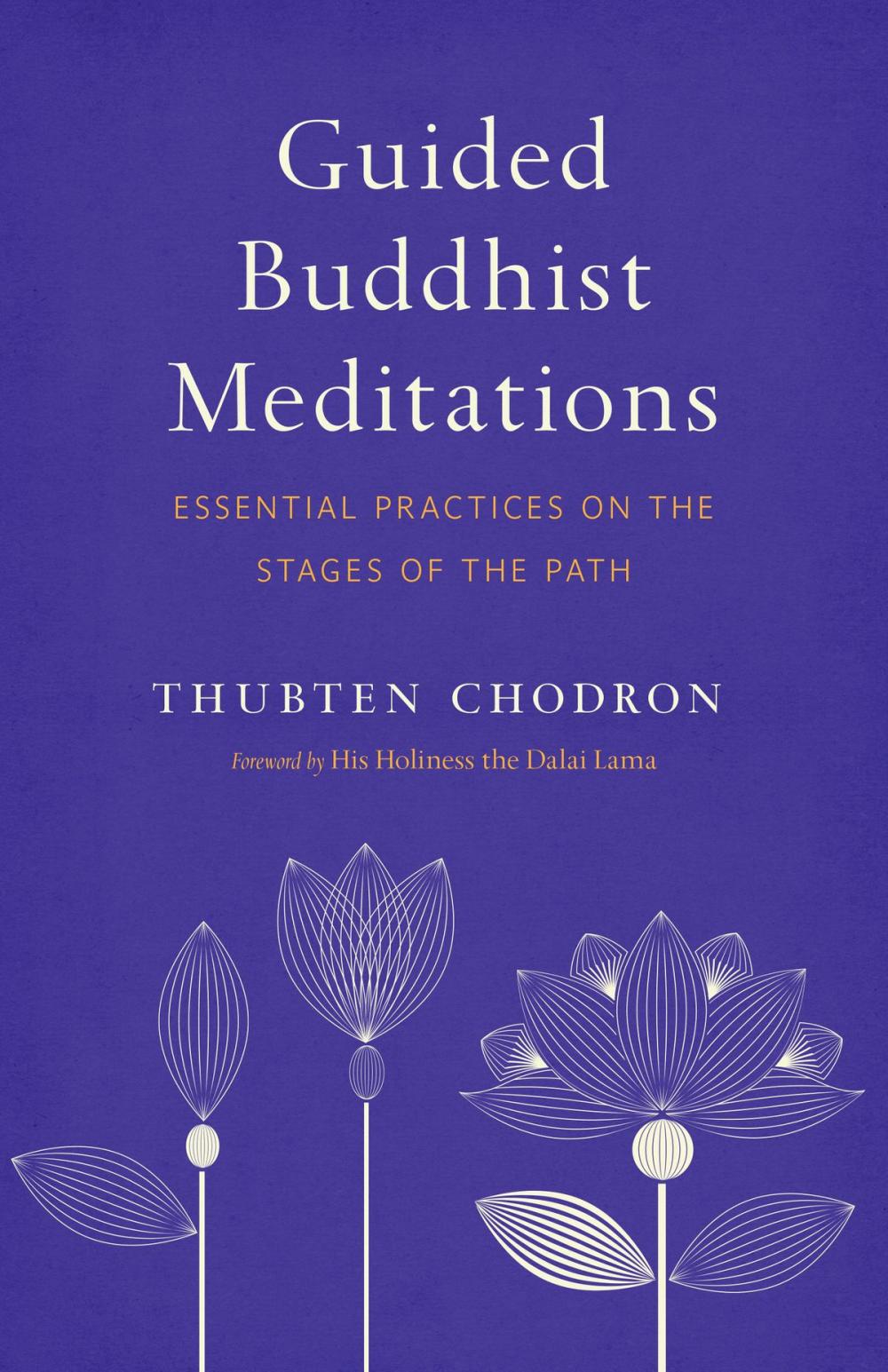 Big bigCover of Guided Buddhist Meditations