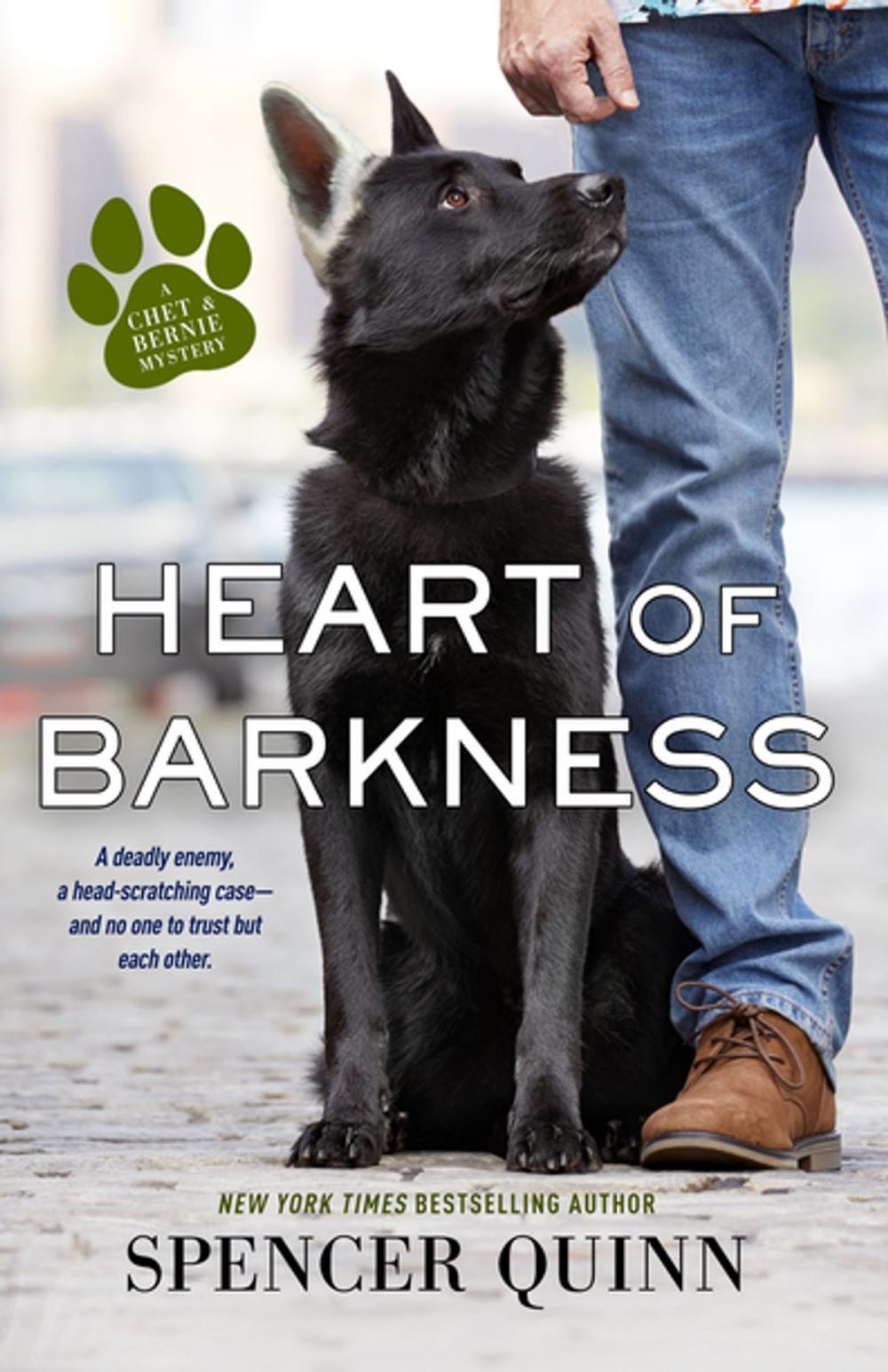 Big bigCover of Heart of Barkness