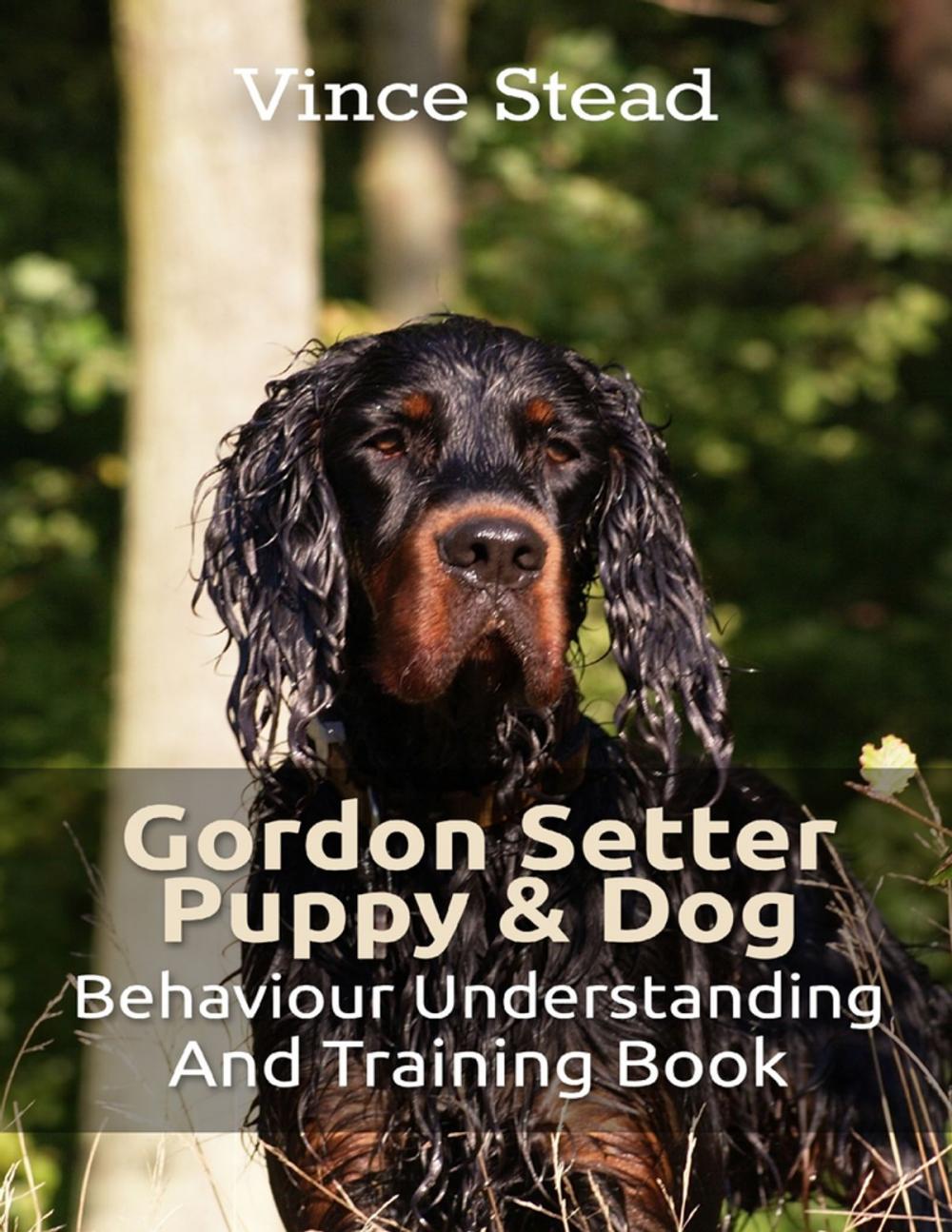 Big bigCover of Gordon Setter Puppy & Dog Behavior Understanding and Training Book