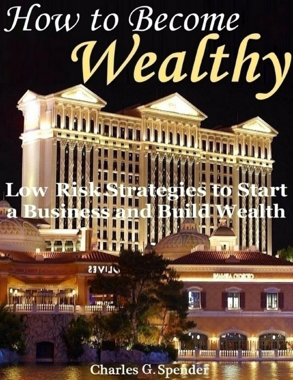 Big bigCover of How to Become Wealthy: Low Risk Strategies to Start a Business and Build Wealth