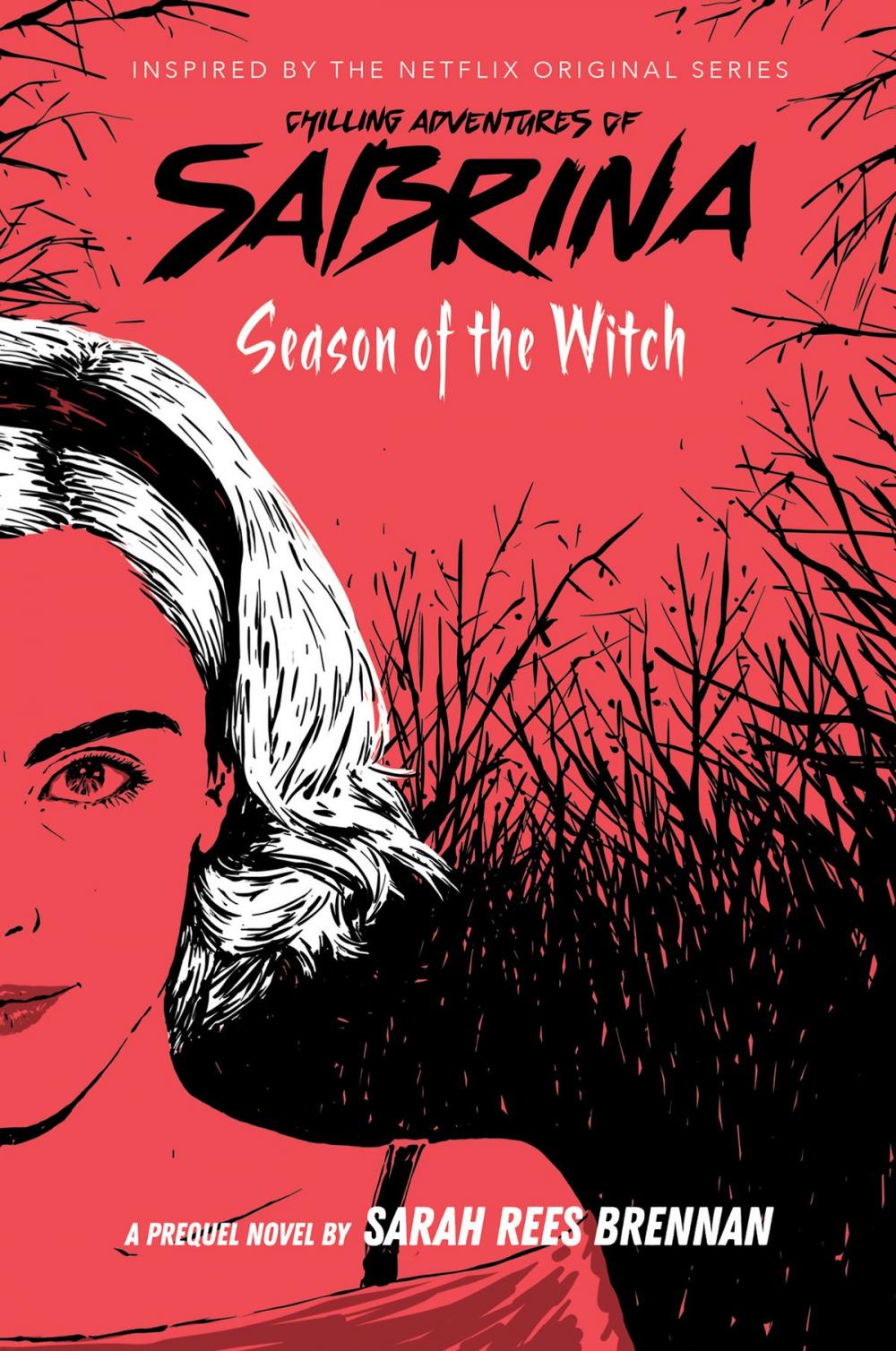 Big bigCover of Season of the Witch (Chilling Adventures of Sabrina, Book #1)