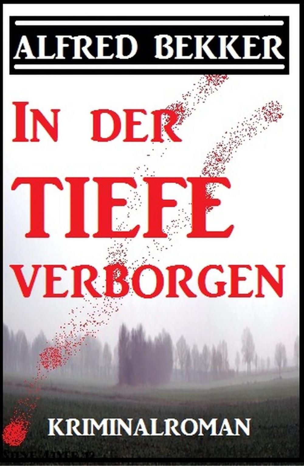 Big bigCover of In der Tiefe verborgen: Kriminalroman