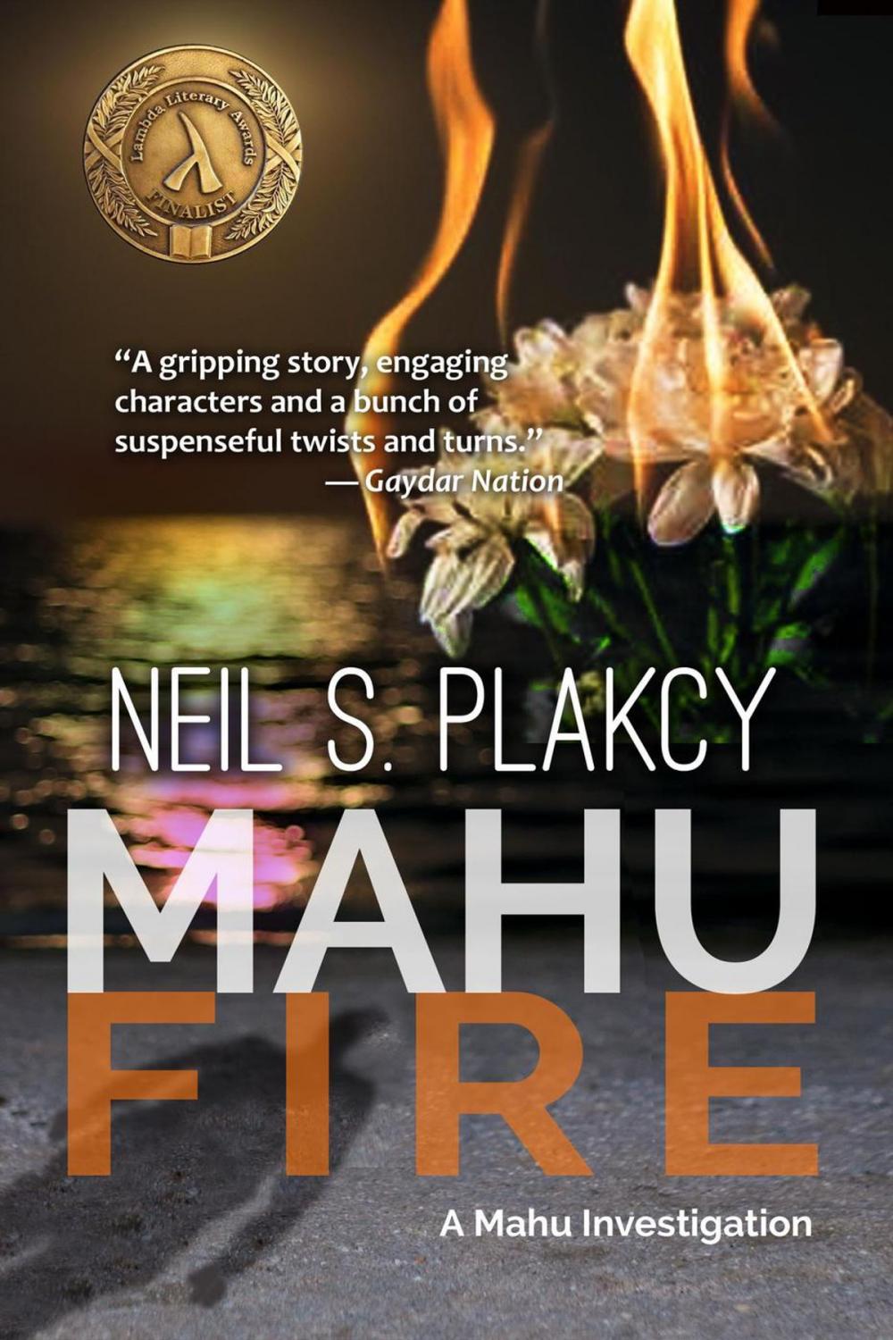 Big bigCover of Mahu Fire