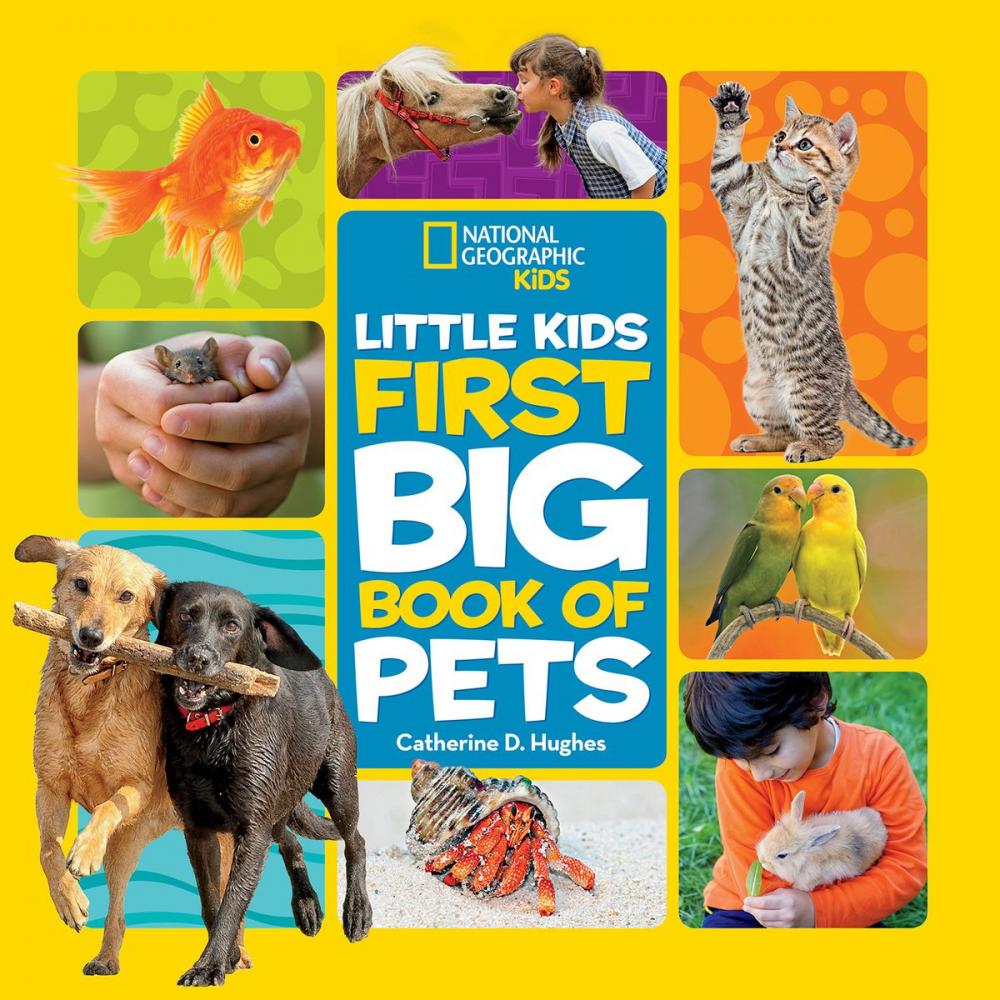 Big bigCover of Little Kids First Big Book of Pets