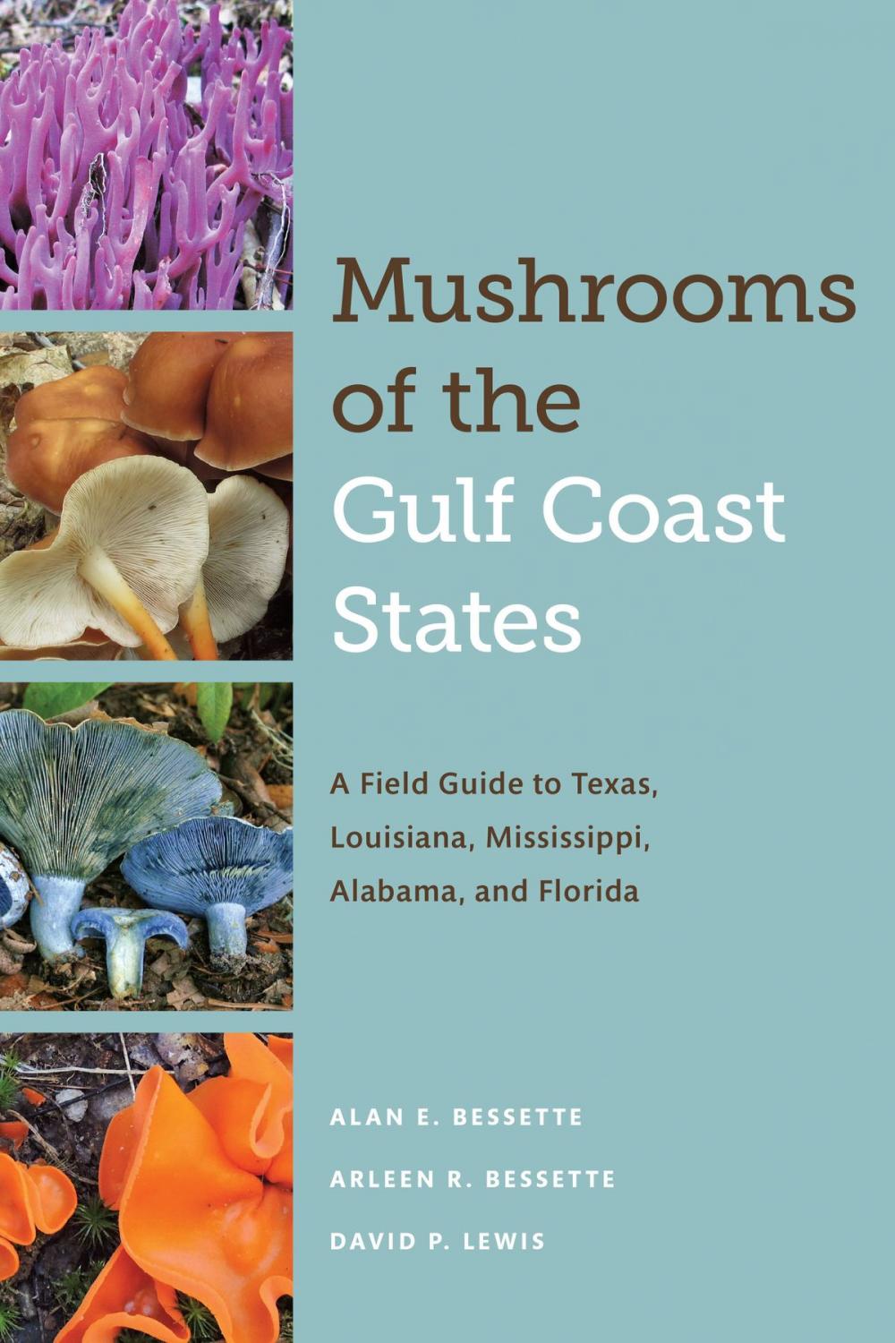 Big bigCover of Mushrooms of the Gulf Coast States