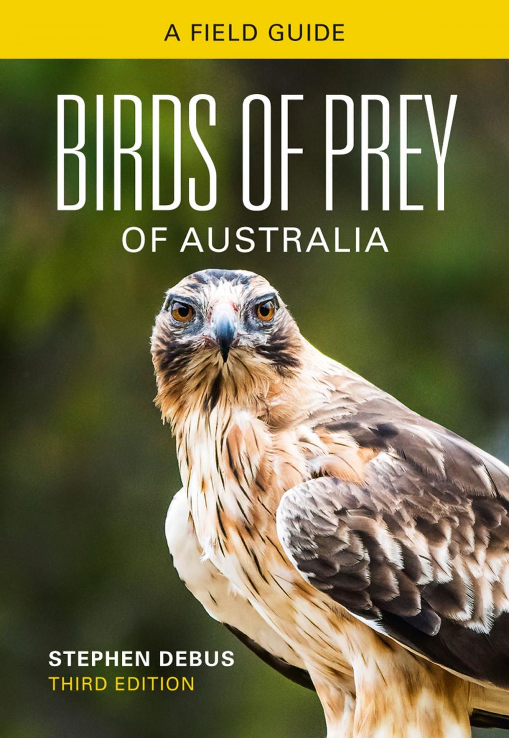 Big bigCover of Birds of Prey of Australia