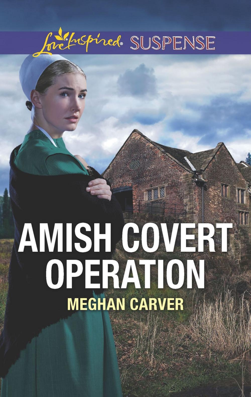 Big bigCover of Amish Covert Operation