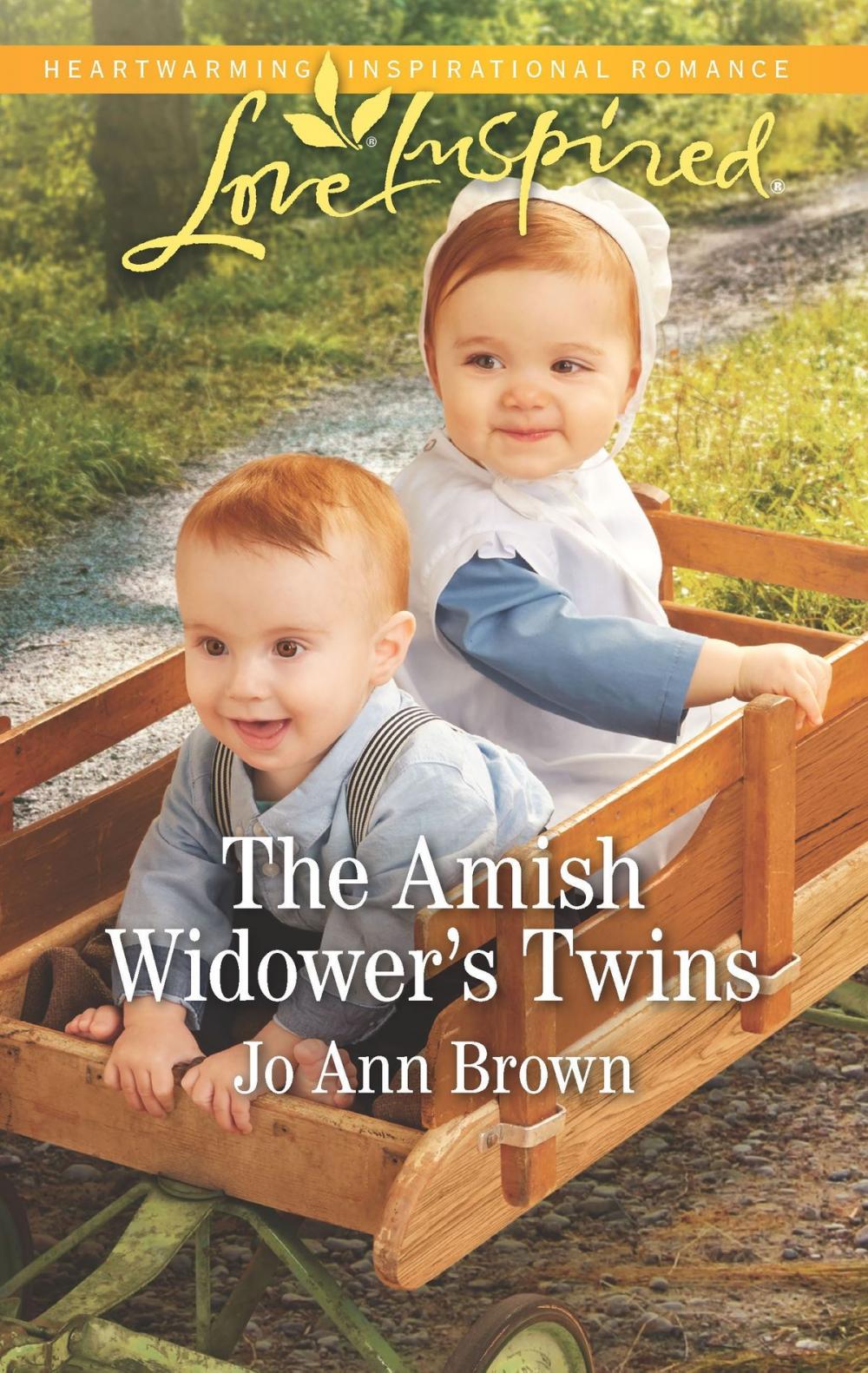 Big bigCover of The Amish Widower's Twins