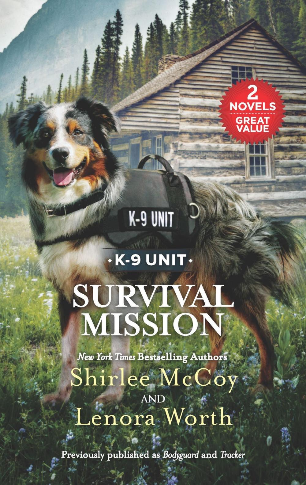 Big bigCover of Survival Mission