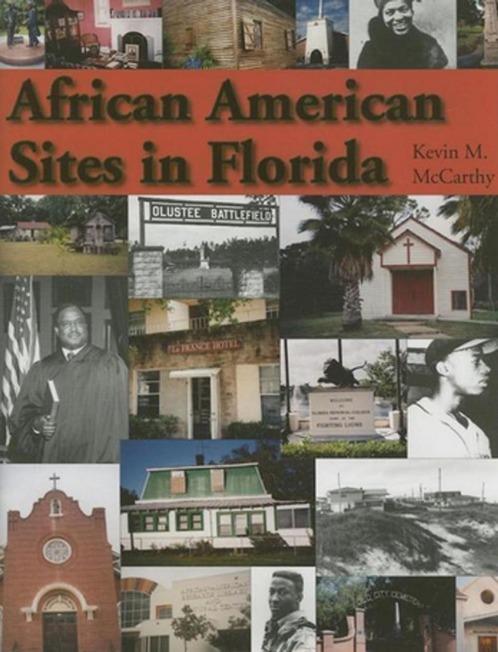 Big bigCover of African American Sites in Florida