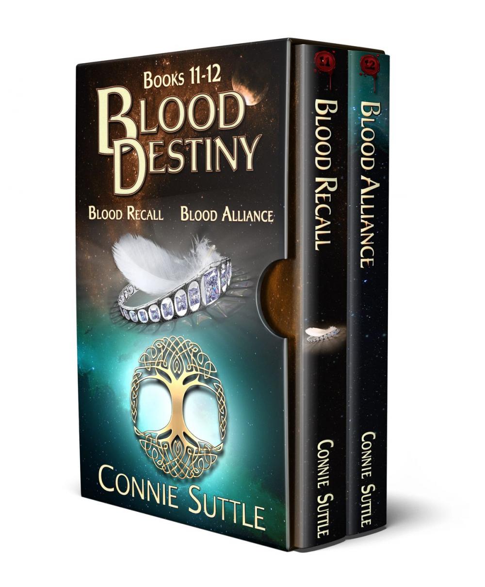 Big bigCover of Blood Destiny II