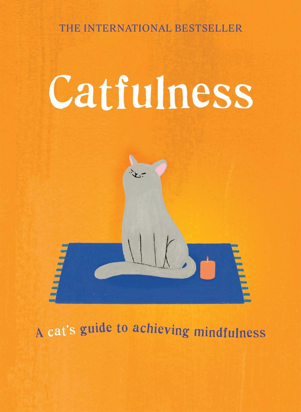 Big bigCover of Catfulness