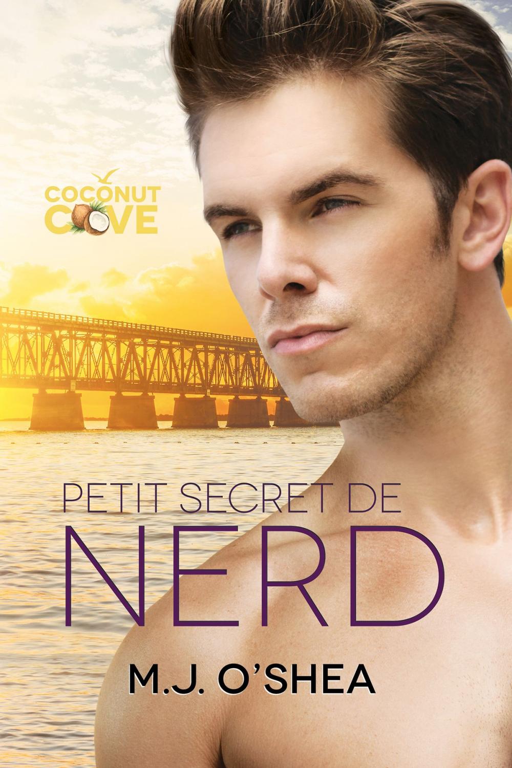 Big bigCover of Petit secret de nerd