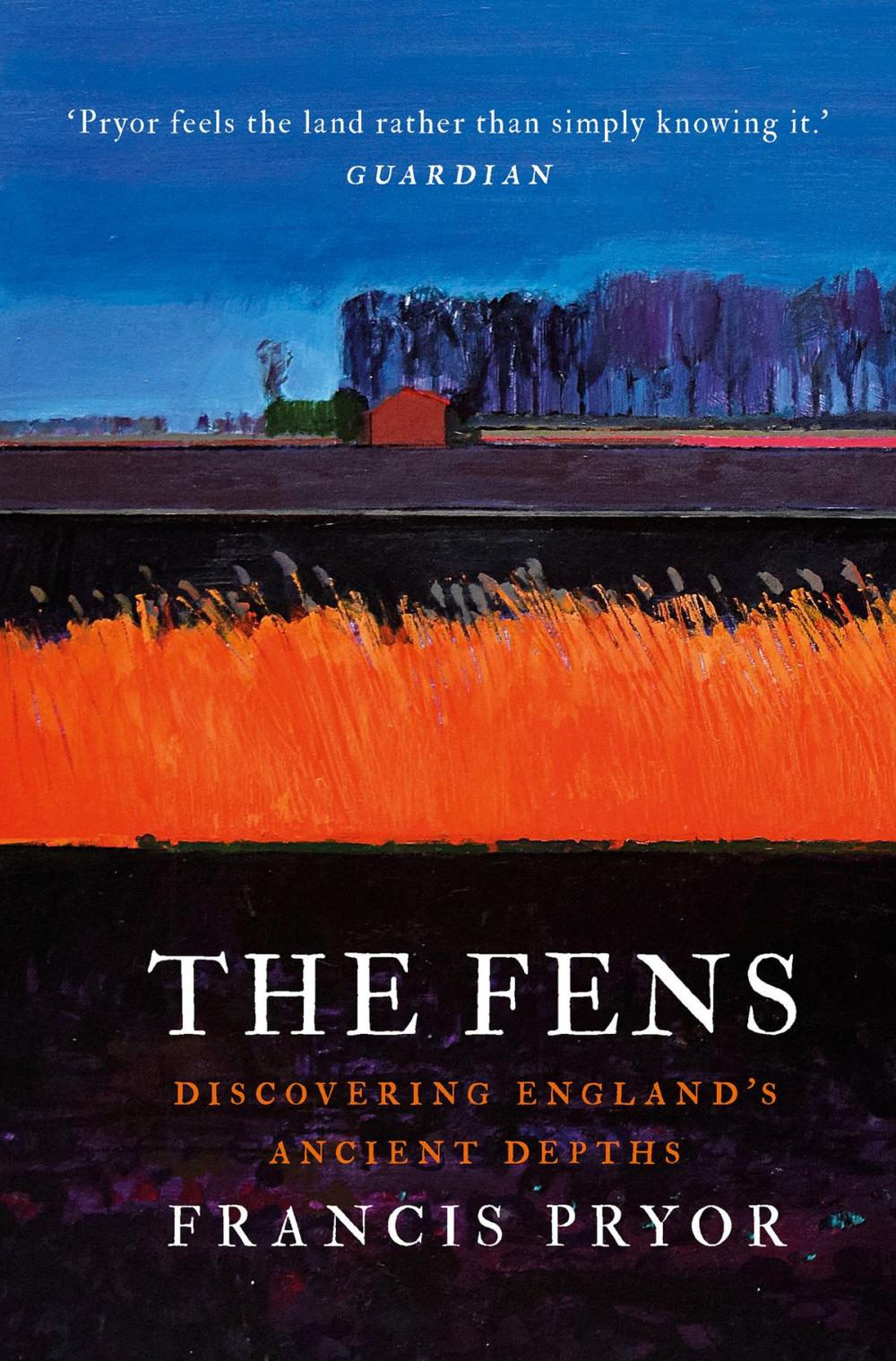 Big bigCover of The Fens