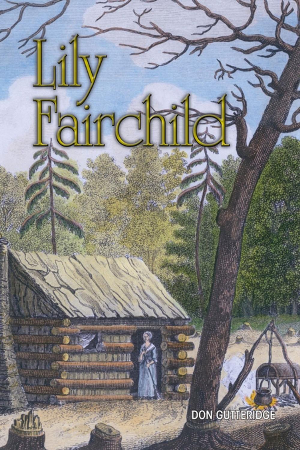 Big bigCover of Lily Fairchild