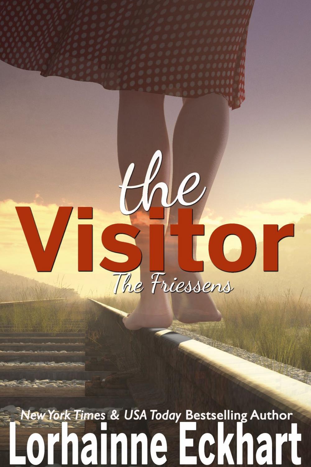 Big bigCover of The Visitor