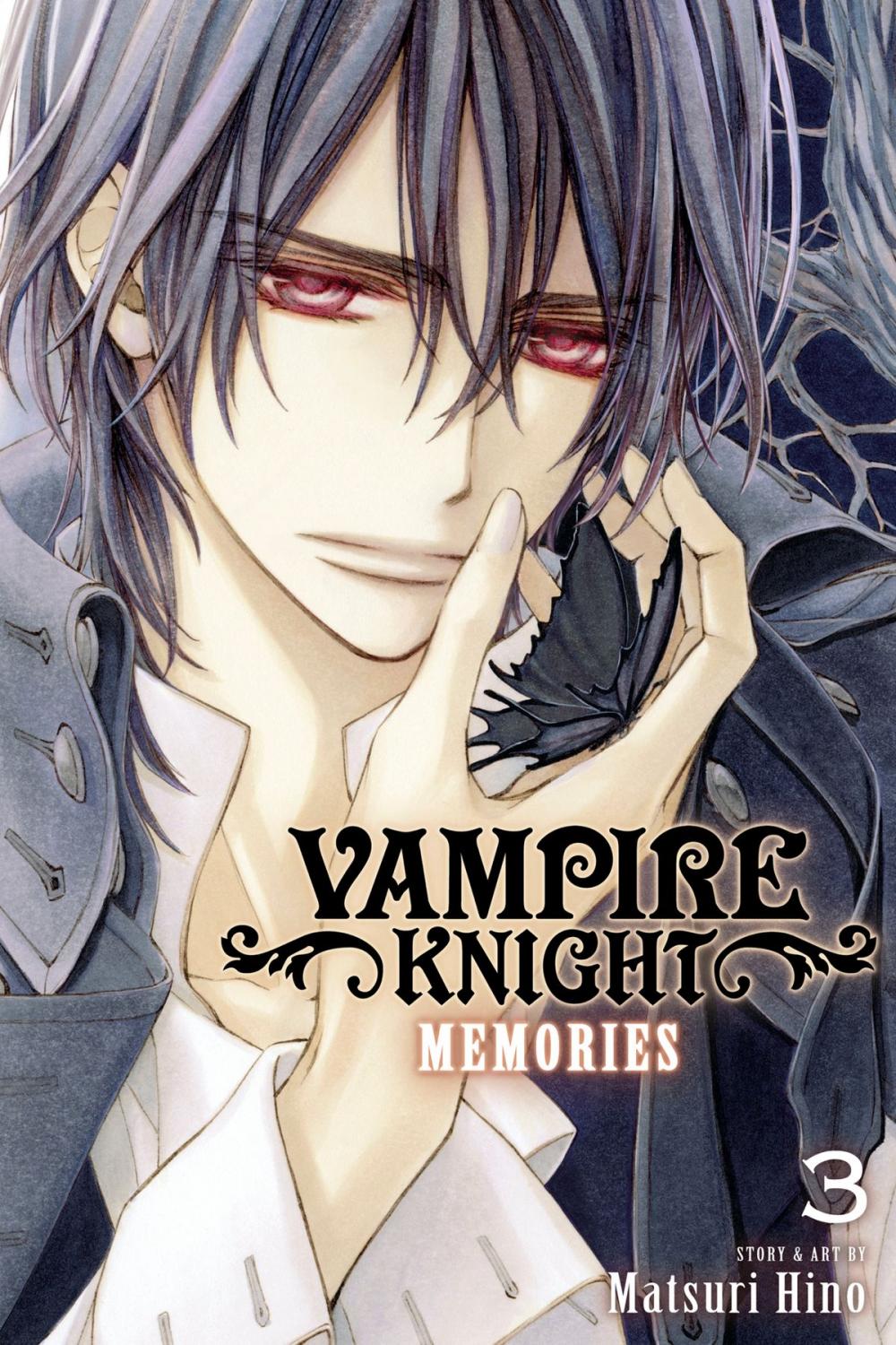 Big bigCover of Vampire Knight: Memories, Vol. 3