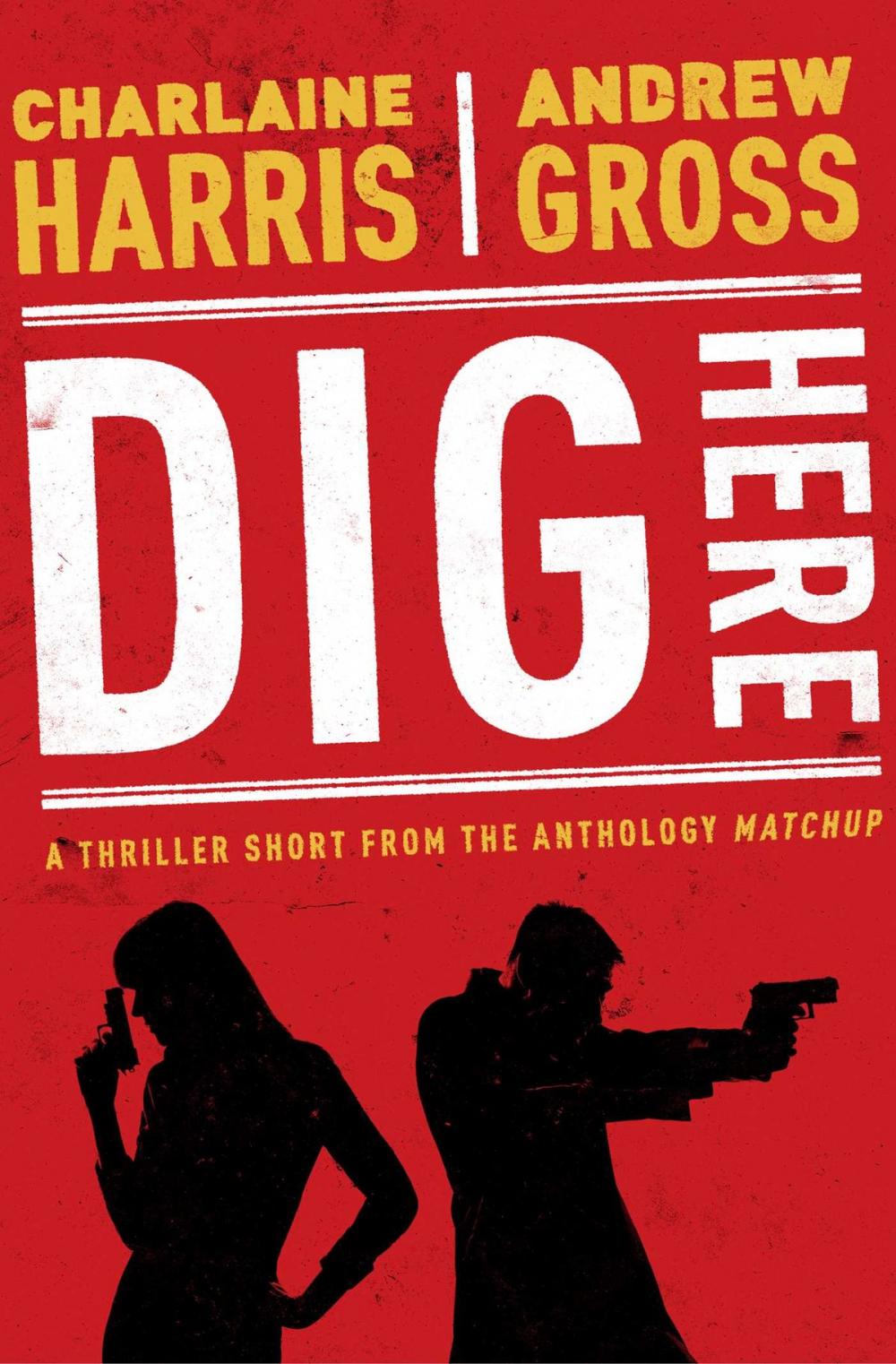 Big bigCover of Dig Here