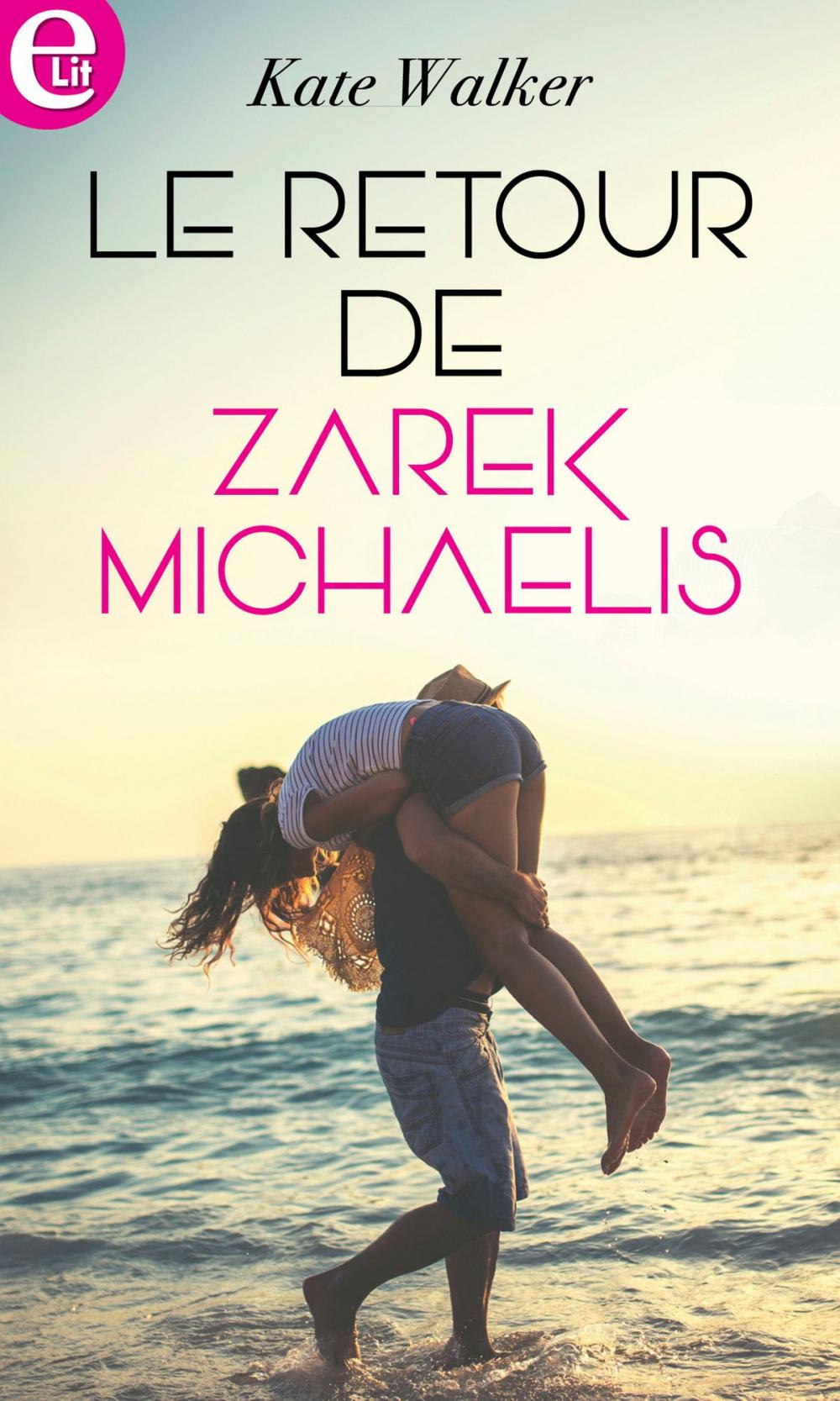 Big bigCover of Le retour de Zarek Michaelis