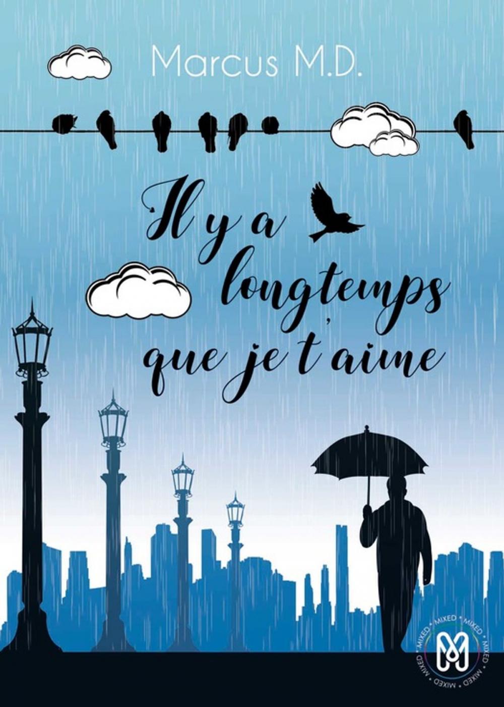 Big bigCover of Il y a longtemps que je t'aime