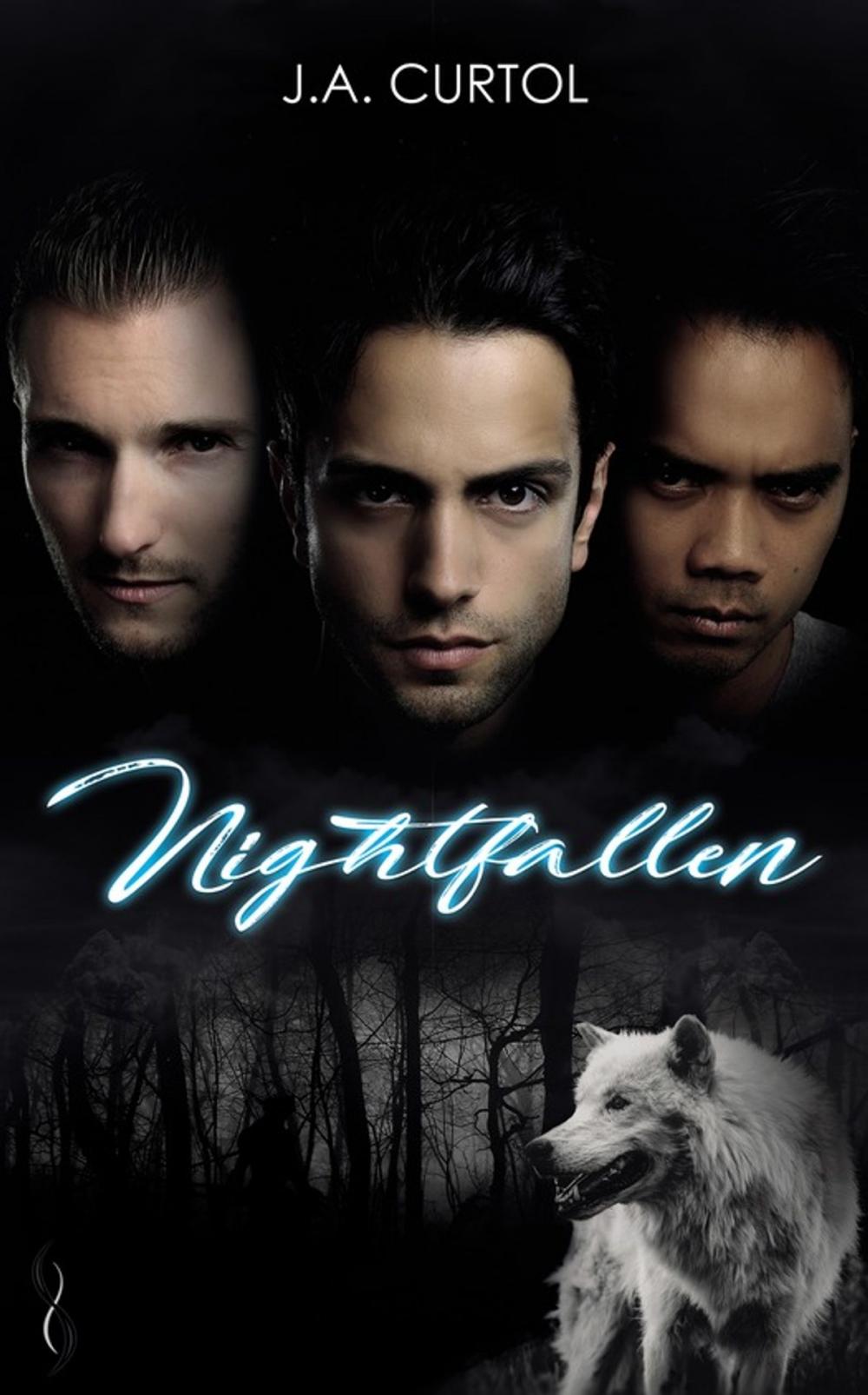 Big bigCover of Nightfallen