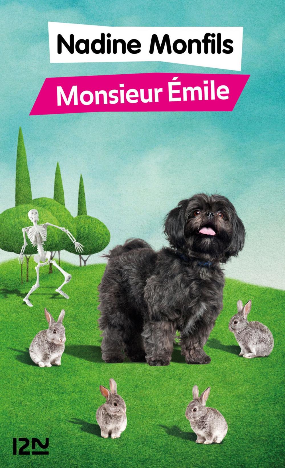 Big bigCover of Monsieur Emile