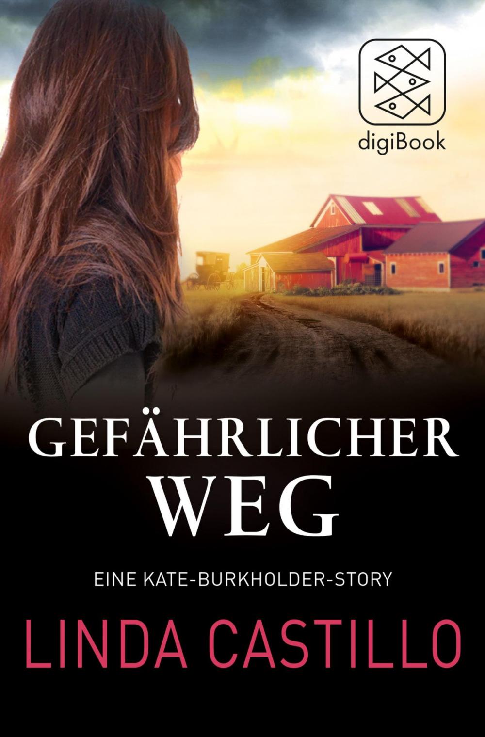 Big bigCover of Gefährlicher Weg