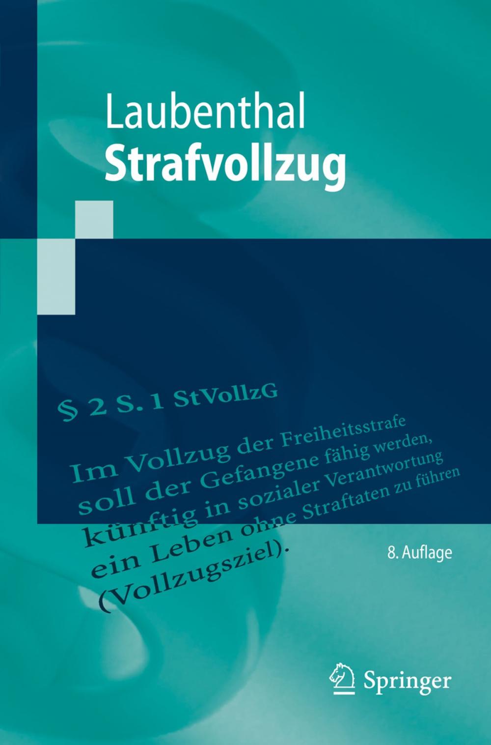 Big bigCover of Strafvollzug