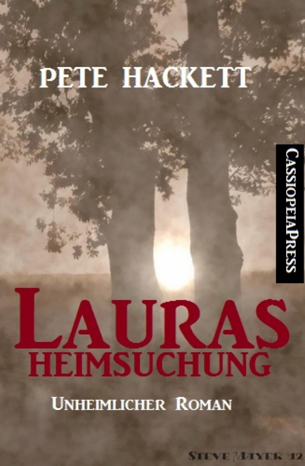 Big bigCover of Lauras Heimsuchung (Unheimlicher Roman)