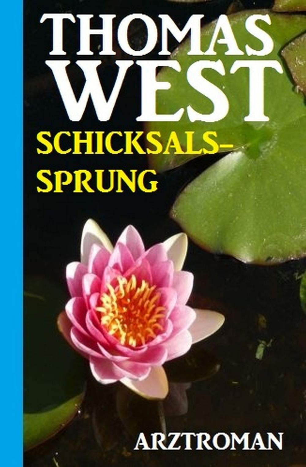 Big bigCover of Schicksalssprung